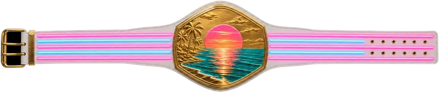 Novelty belt