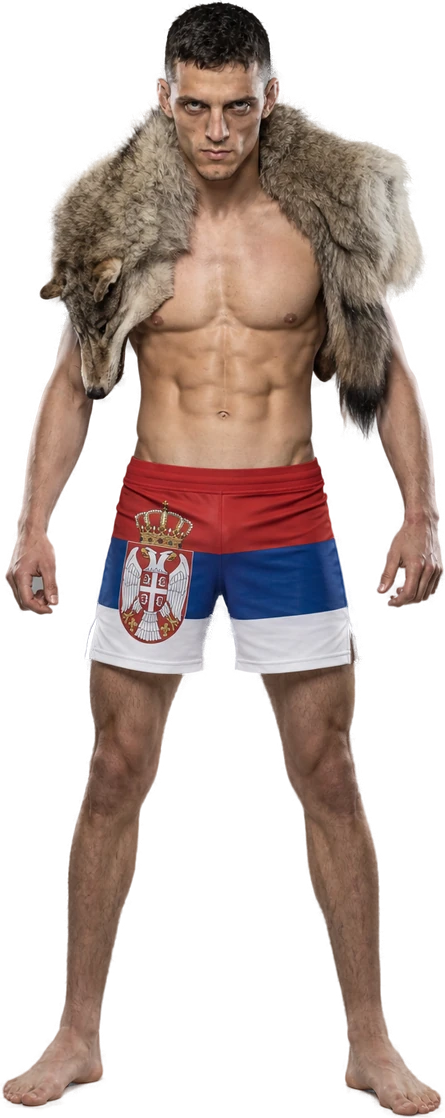 Fighter art